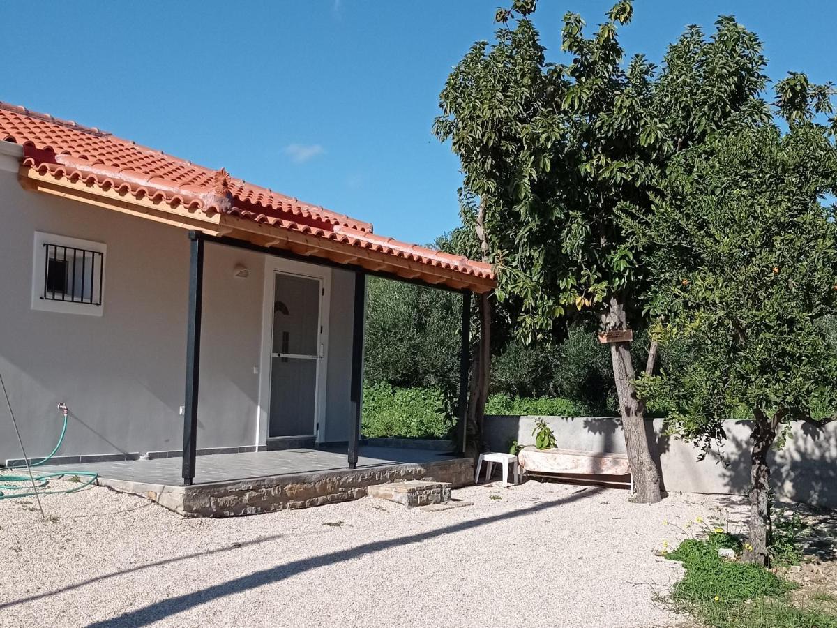 Villa Avocado House Finikounta Esterno foto
