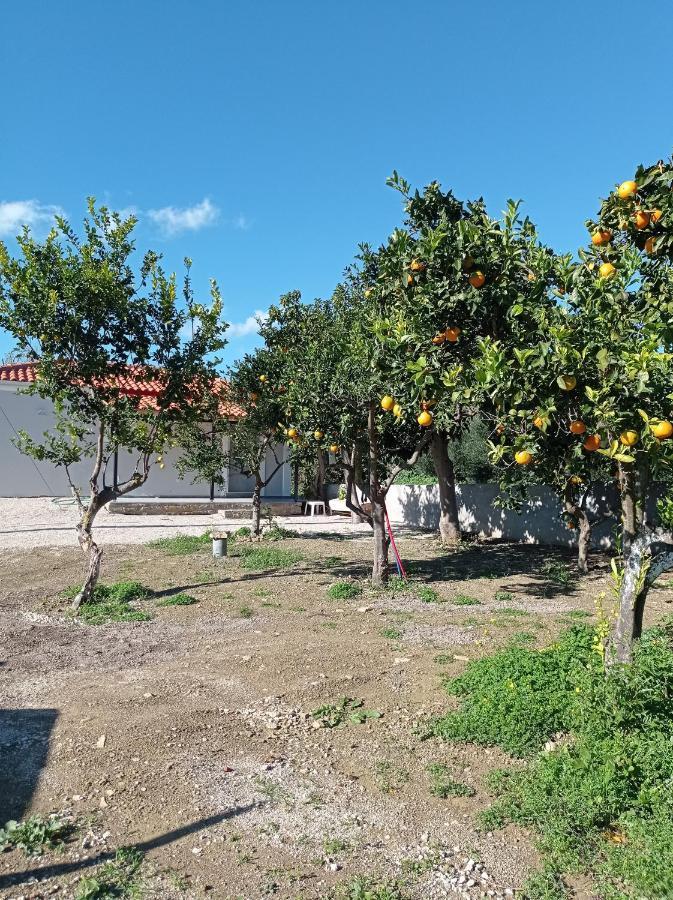 Villa Avocado House Finikounta Esterno foto