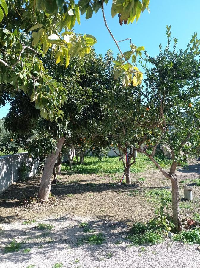 Villa Avocado House Finikounta Esterno foto